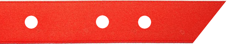 KINGSING
